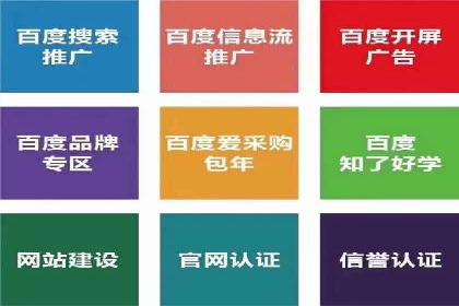 网络推广竞价策略解析与应用案例